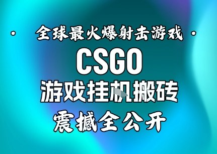 【年底大揭秘】基于全球最火爆的射击CSGO游戏挂G搬砖，日入5张+，震撼公开-校睿铺