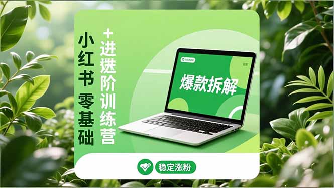 小红书零基础+高阶训练营：安全养号、爆款拆解、长效运营，实现稳定涨粉与变现-校睿铺