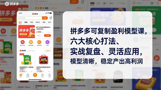 拼多多可复制盈利模型课，六大核心打法、实战复盘、灵活应用，模型清晰，稳定产出高利润-校睿铺