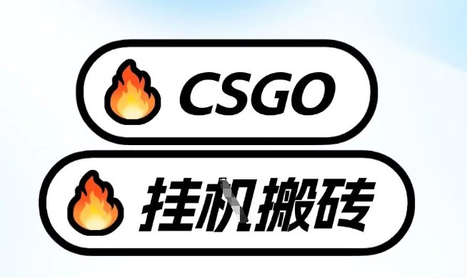 真全网独家CSGO挂G，最新玩法,单日捡漏1K+，不用电脑，不用打游戏【揭秘】-校睿铺