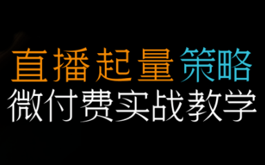 半野老师·直播带货起量与微付费必学课视频号(更新2026)-校睿铺