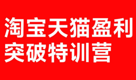 玺承·淘宝天猫盈利突破特训营(25年12月线下课)【音频+字幕】-校睿铺