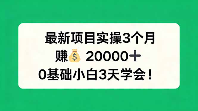 最新项目实操3个月，赚钱20000+，0基础小白3天学会！-校睿铺